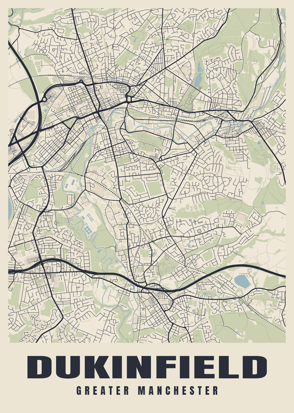 Dukinfield Street Map Poster