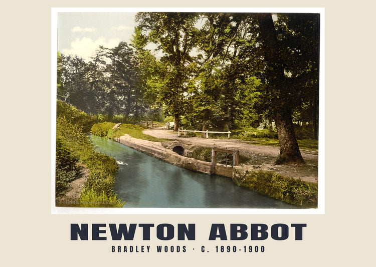 Bradley Woods, Newton Abbot, c. 1890–1900 Heritage Print