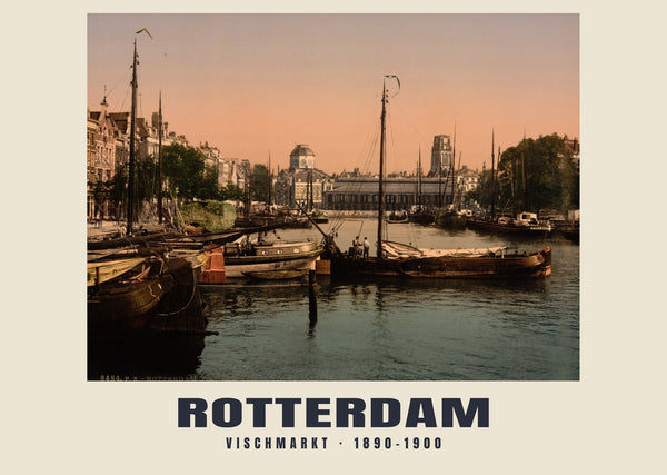 Vischmarkt, Rotterdam — 1890–1900 · Vintage photochrom print