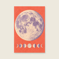 Lunar Rhythm children’s illustration in green, coral, lilac and yellow