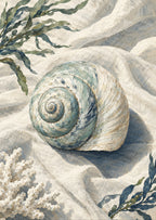 Shell on Linen — artwork detail
