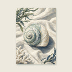 Shell on Linen — Textured coastal illustration bathroom art print
