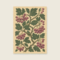 Hawthorn berries and twisting broad leaves — Botanical folk illustration hallway art print