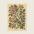 Wild rose hips among bramble stems — Botanical folk illustration hallway art print