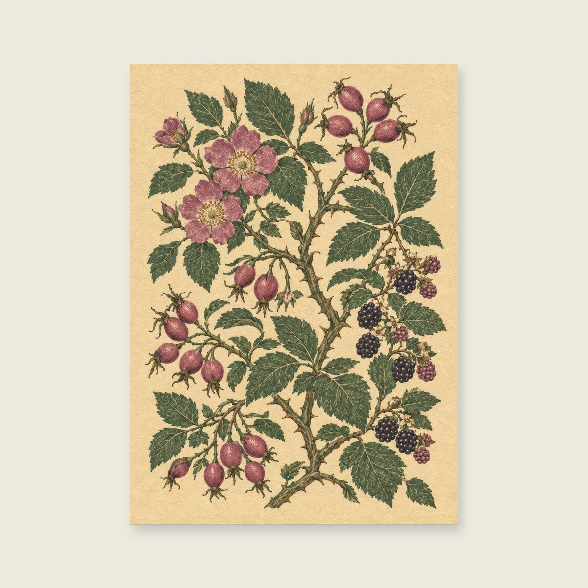 Wild rose hips among bramble stems — Botanical folk illustration hallway art print