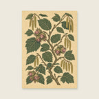 Hazel branches and acorns on a pale textured field — Botanical folk illustration hallway art print