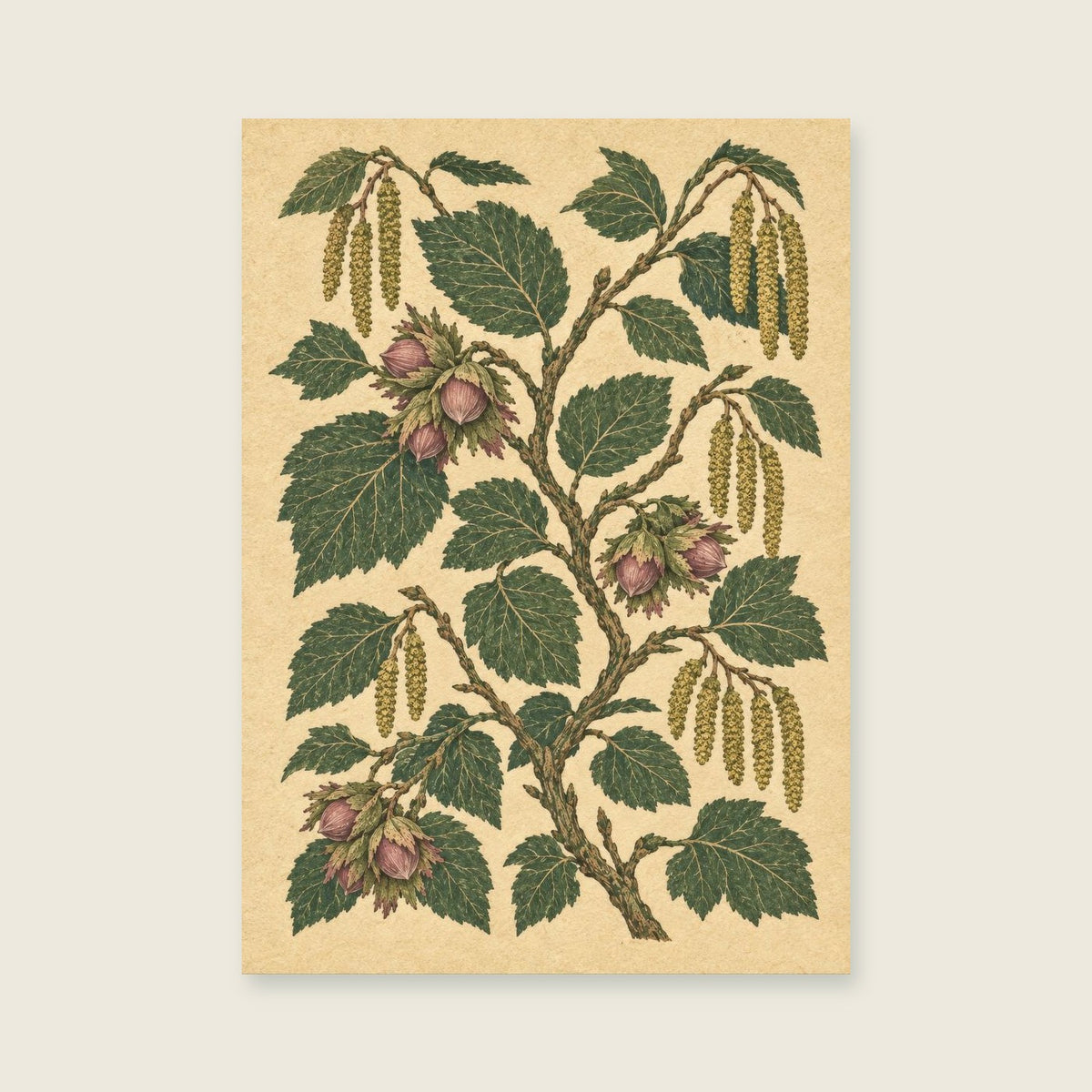 Hazel branches and acorns on a pale textured field — Botanical folk illustration hallway art print