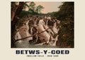 Swallow Falls, Betws-y-Coed — Vintage photochrom print, 1890–1900