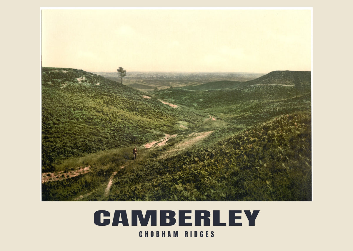 Chobham Ridges, Camberley, c. 1890–1900 heritage photograph