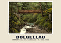 Torrent Walk III, Dolgellau, c. 1890–1900 heritage photograph