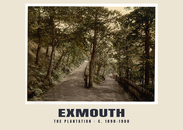 The Plantation, Exmouth, c. 1890–1900 Heritage Print