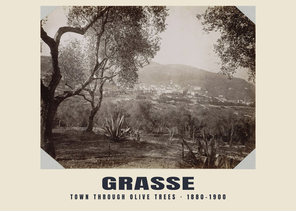 Town through olive trees, Grasse — 1880–1900 · Historic photograph print