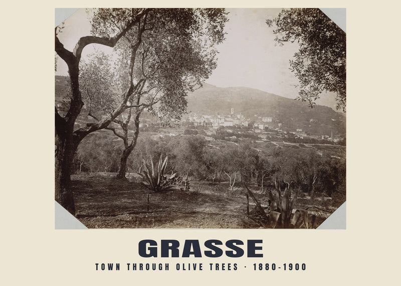 Town through olive trees, Grasse — 1880–1900 · Historic photograph print