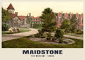 The Museum, Maidstone, 1890s heritage photograph
