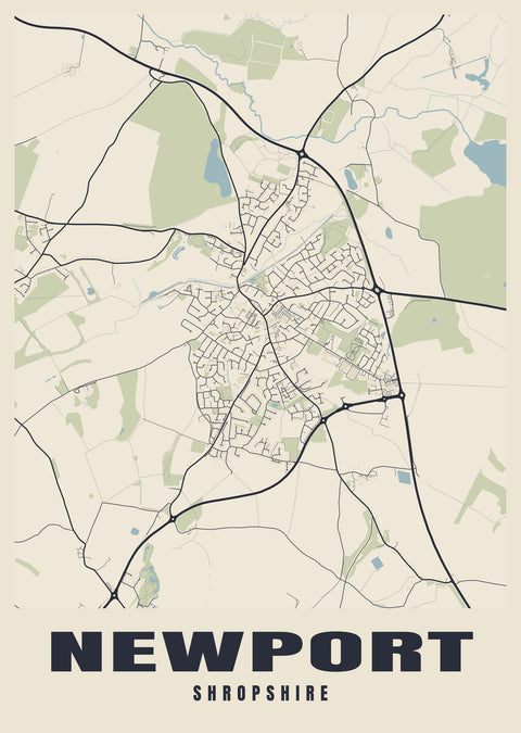 Newport Street Map Poster