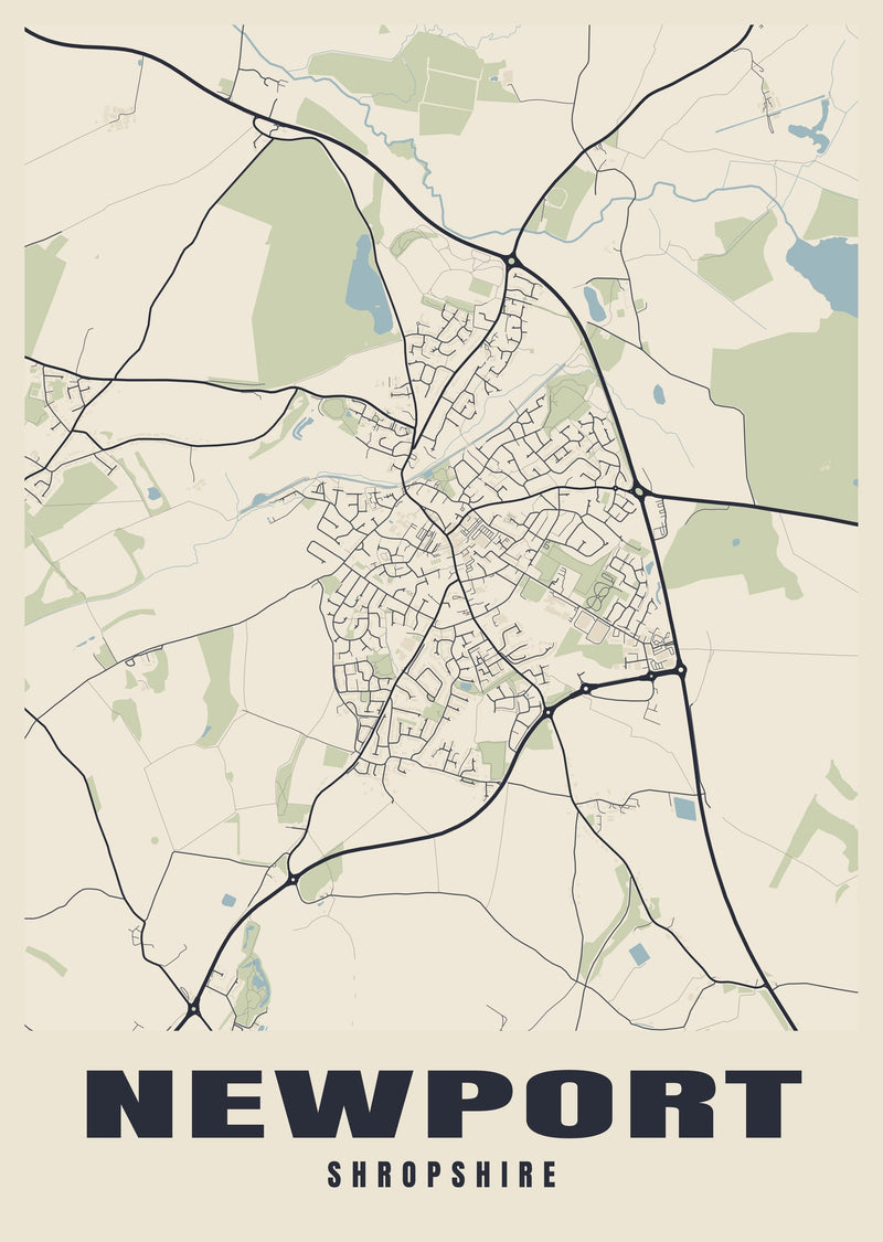 Newport Street Map Poster