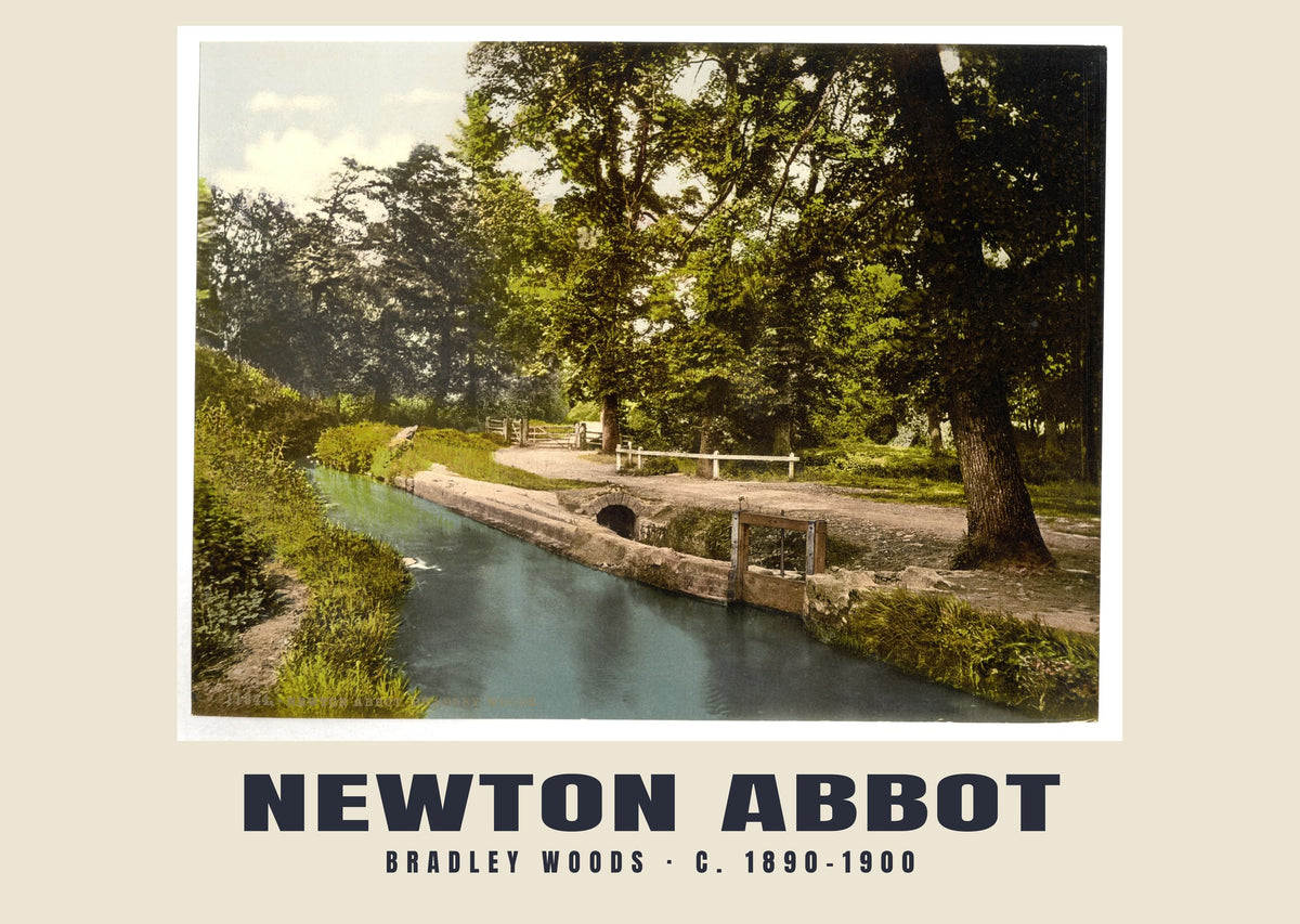 Bradley Woods, Newton Abbot, c. 1890–1900 heritage photograph