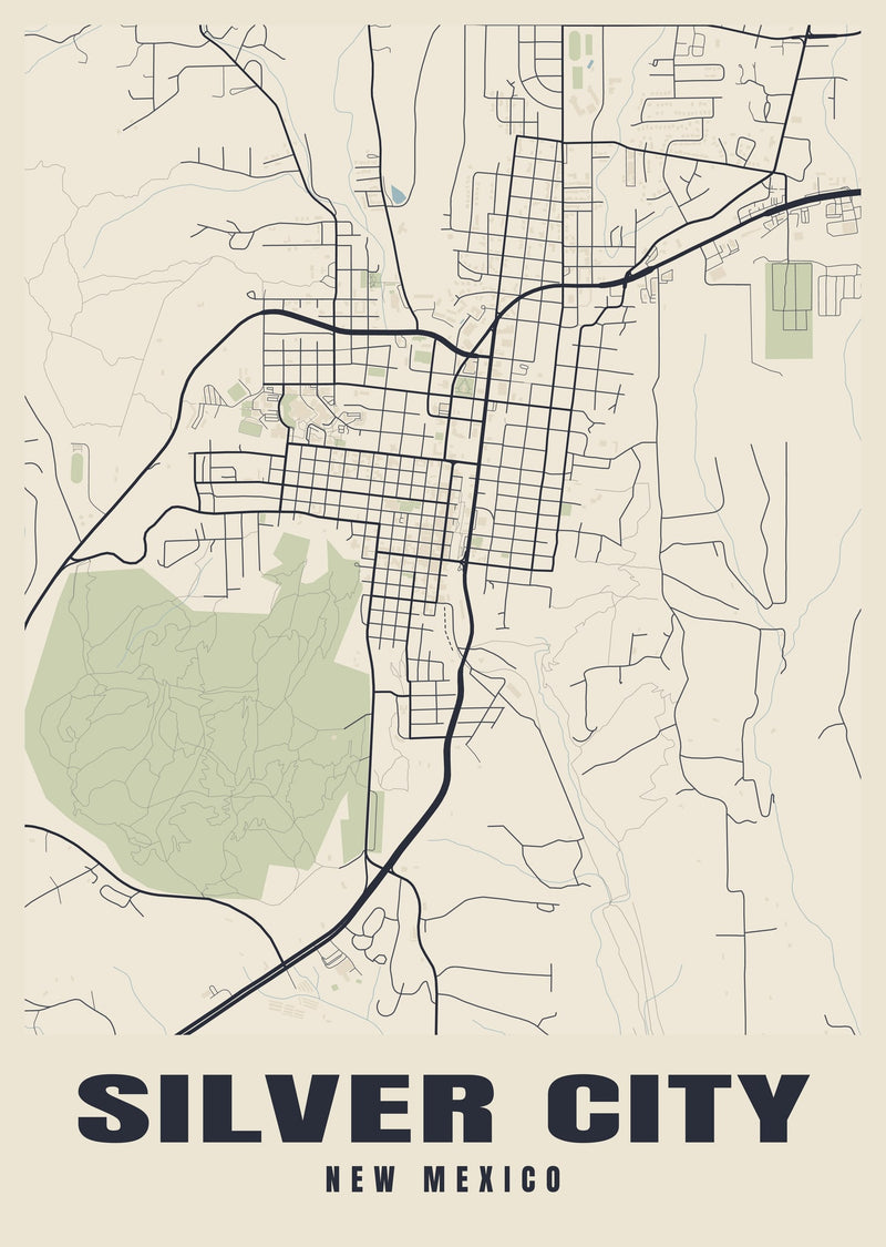 Silver City Street Map Poster