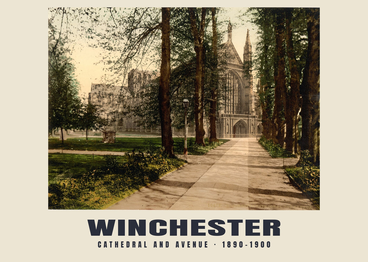 Cathedral and Avenue, Winchester — Vintage photochrom print, 1890–1900