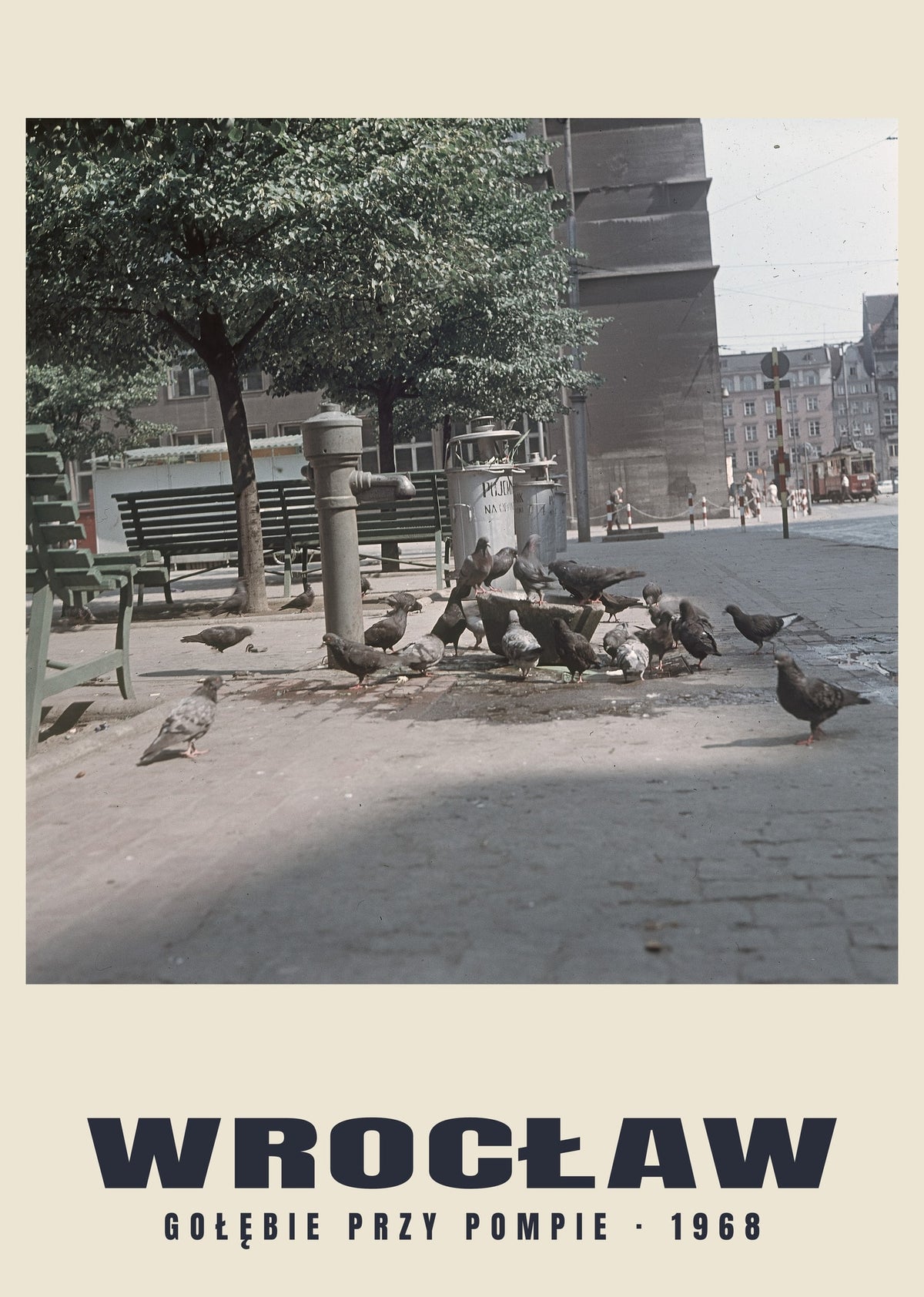 Pigeons by the Pump, Wrocław — 1968